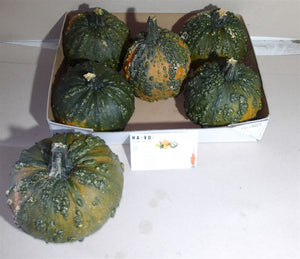 Decorative Orange Ornamental Fruit