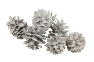 Natural Austrian Pinecone Decoration – 10kg