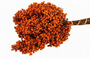 Orange Schinus Dried Flower Bunch – 10 Stems