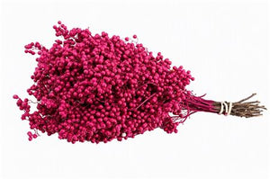 Purple Schinus Dried Foliage Bunch