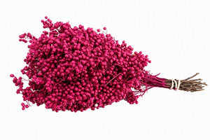 Purple Schinus Dried Foliage Bunch