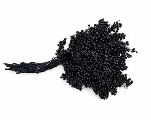 Black Schinus Decorative Stems – 10-Stem Bunch