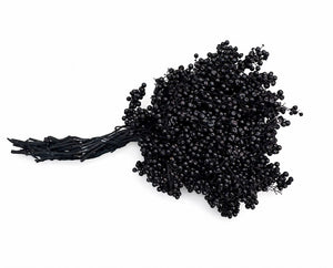 Black Schinus Dried Foliage Bunch