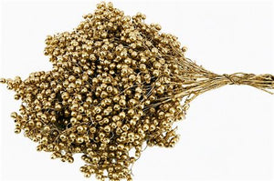 Gold Schinus Bunch – Dried Decorative Stems