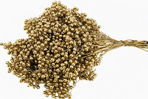 Gold Schinus Bunch – Dried Decorative Stems