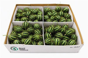 Decorative Cucumis Mirio Ornamental Fruit