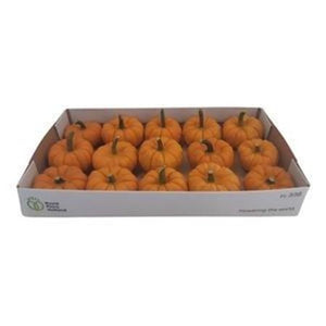 Jack Be Little Ornamental Pumpkin – Decorative Fruit