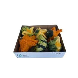 Gizmo Ornamental Fruit Decoration – Pack of 6