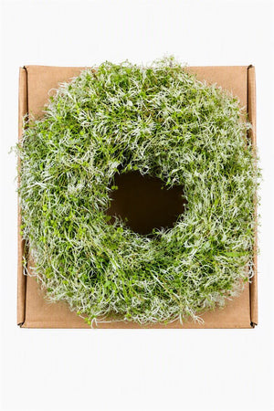 Green Clematis Wreath – 30cm