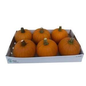 Baby Ornamental Fruit Plant – 3 Fruits