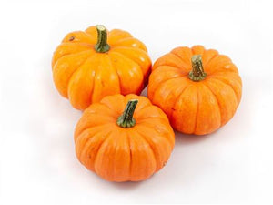 Orange Jack Be Little Ornamental Pumpkins – Pack of 20