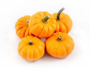 Jack Be Little Ornamental Pumpkin – Orange