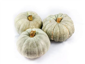 Jarrahdale Ornamental Pumpkin – Large Decorative Fruit