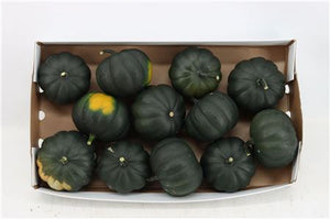 Black Cat Ornamental Pumpkin