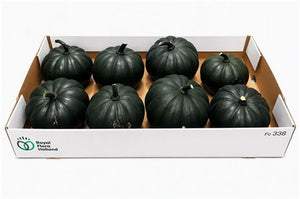 Black Cat Ornamental Pumpkin – Large Decorative Fruit