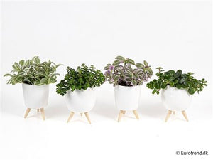 Green Milano Artificial Grass Plant – 3-Leg Design