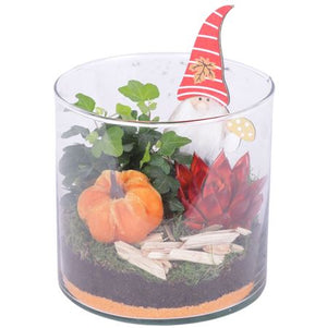 Indoor Arrangement in Glass Cylinder Vase – 15cm