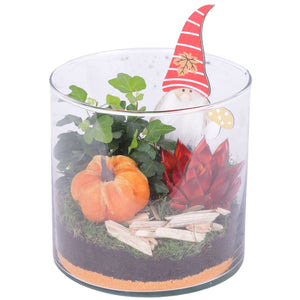 Indoor Arrangement in Glass Cylinder Vase – 15cm