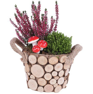 Autumn Outdoor Plant Arrangement – 16cm Wooden Pot