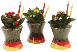 Thank You Teacher Indoor Glass Arrangement – 13cm