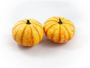 Decorative Mixed Cucurbita Gourds – Set of 4