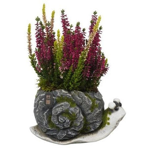 Autumn Outdoor Plant Arrangement – 21cm Concrete Pot