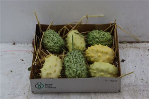 Green Kiwano Ornamental Fruit