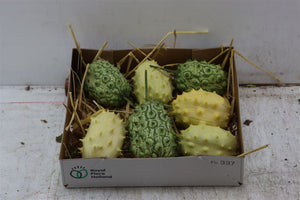 Green Kiwano Ornamental Fruit