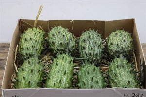 Green Kiwano Ornamental Fruit – 1 Piece