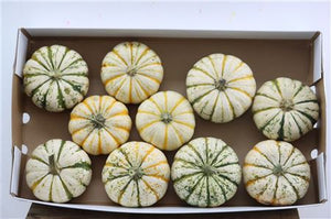 Decorative Mini Pumpkins – Mixed Colours