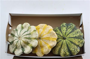 Mixed Ornamental Pumpkins – Set of 3