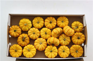 Mixed Ornamental Gourds – Decorative Pumpkin Collection