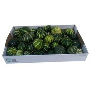 Decorative Ornamental Gourds – Cucurbita
