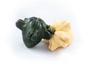 Yugoslavian Fingers Ornamental Gourds – Mixed
