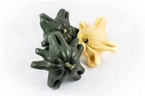 Mixed Yugoslavian Fingers Ornamental Gourds