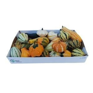 Maya Mix Ornamental Fruit Arrangement
