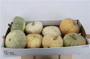 Grey Ornamental Pumpkin Decorative Fruit