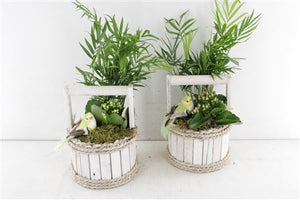 Round Wooden Arrangement – 15cm Pot