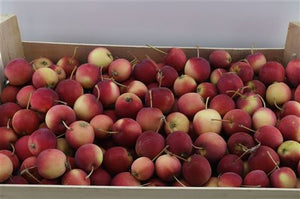 Red Decorative Apples – Single Piece