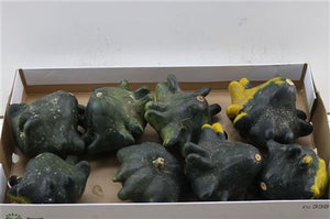 Yugoslavian Fingers Ornamental Gourds – Mixed