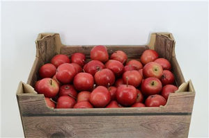 Red Decorative Apples – Single Piece