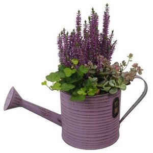 Autumn Outdoor Plant Arrangement in Metal Watering Can – 34cm