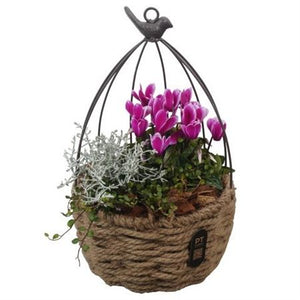 Autumn Outdoor Plant Arrangement – 20cm Rope Pot