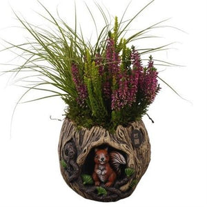 Autumn Outdoor Plant Arrangement – 17cm Ornamental Pot