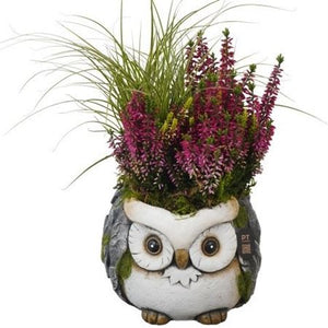 Autumn Arrangement in Concrete Pot – 16cm