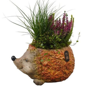 Autumn Outdoor Plant Arrangement – 31cm Ceramic Pot