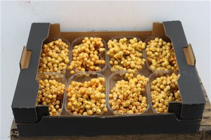 Cream Ornamental Sorbus Fruit Stems
