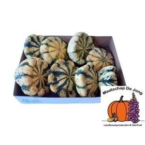 Patisson Mix Ornamental Squash – 8 Pack