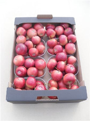 Red Ornamental Crab Apples – Decorative Fruit