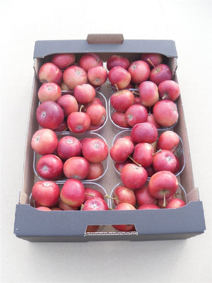 Red Ornamental Crab Apples – Decorative Fruit